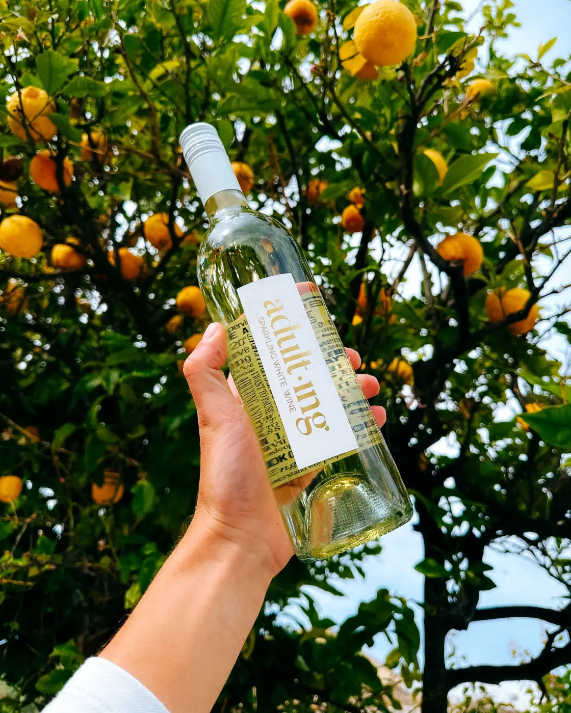 Alexandria Nicole Cellars — Pacific Pine Media