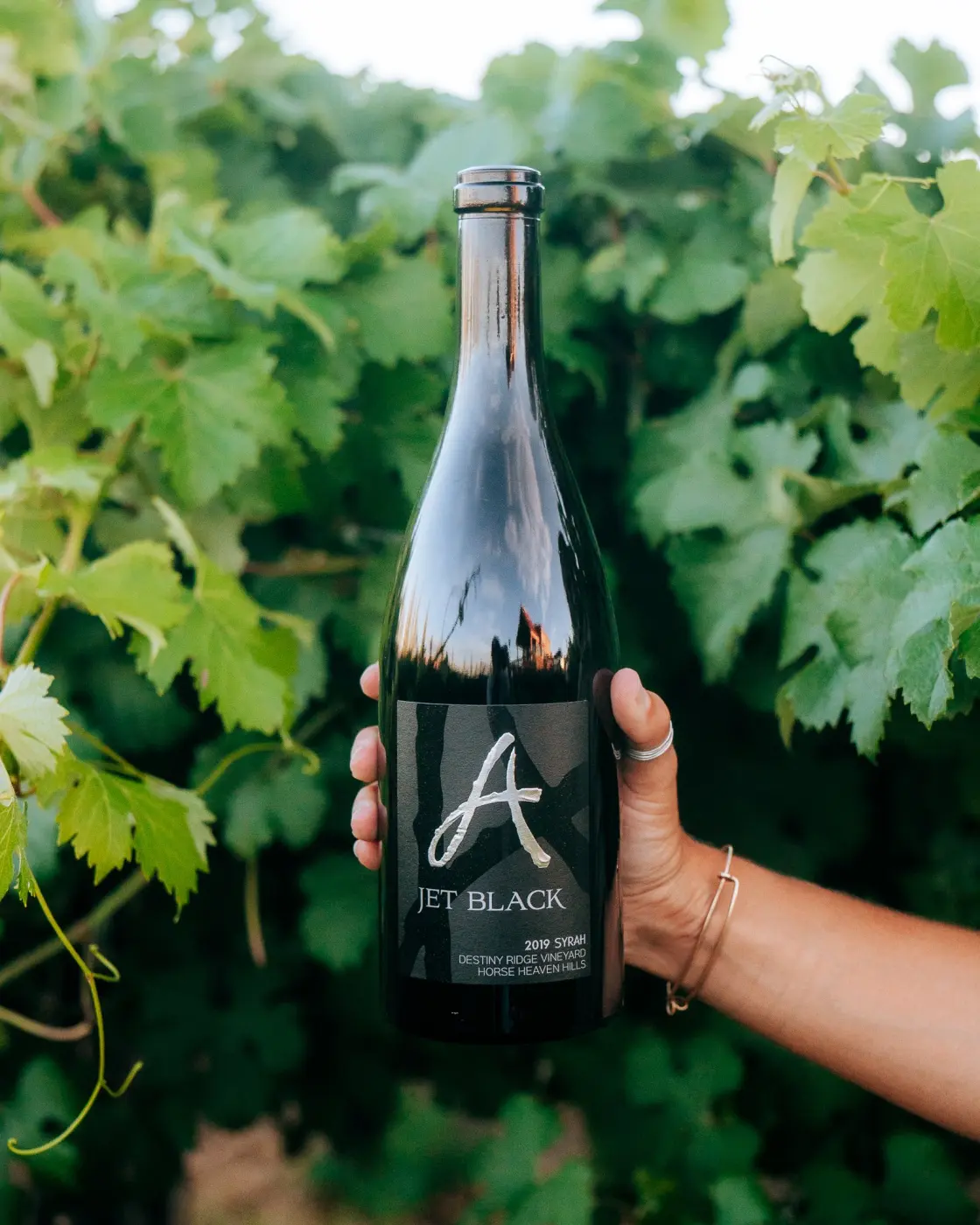 Alexandria Nicole Cellars — Pacific Pine Media
