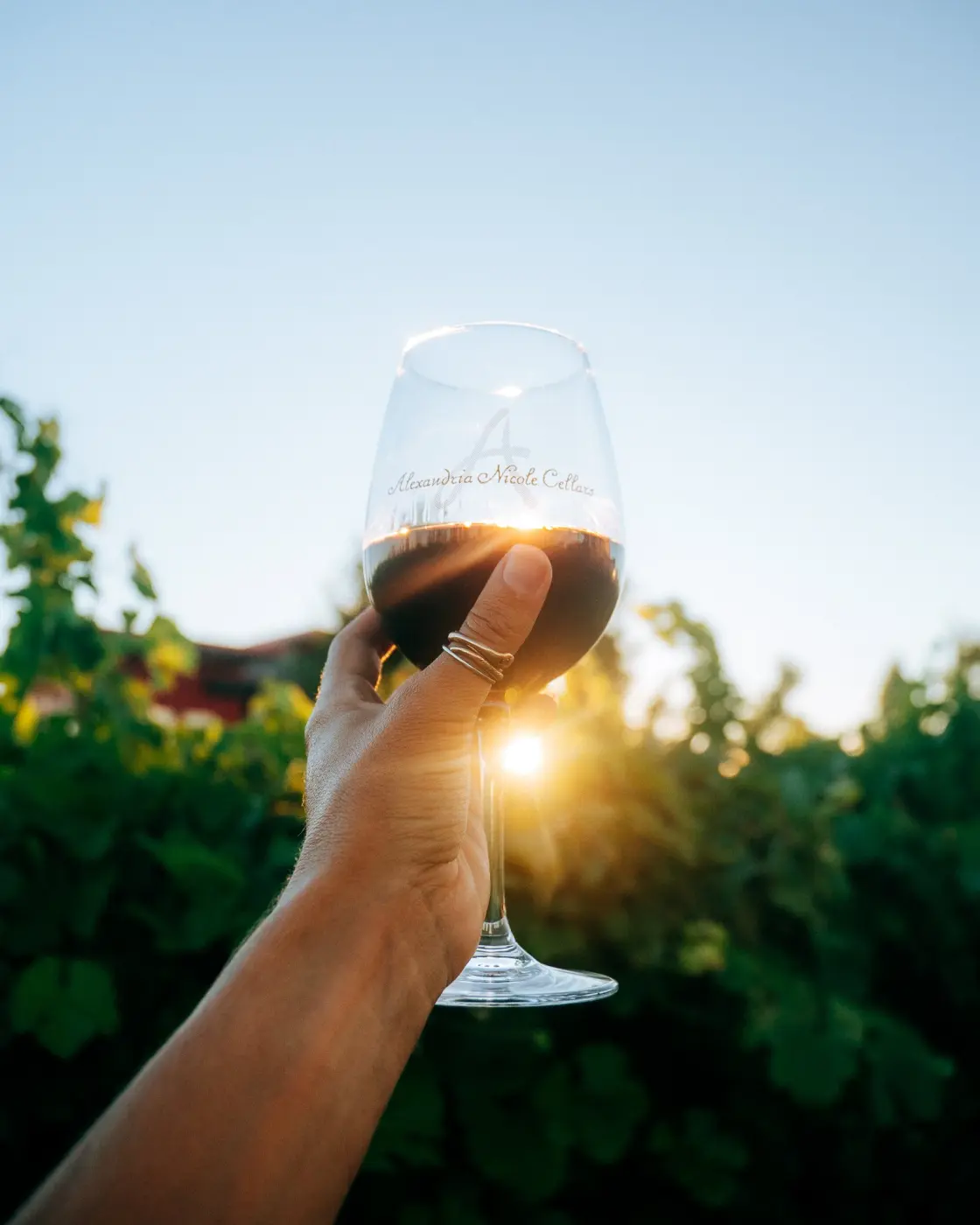 Alexandria Nicole Cellars — Pacific Pine Media