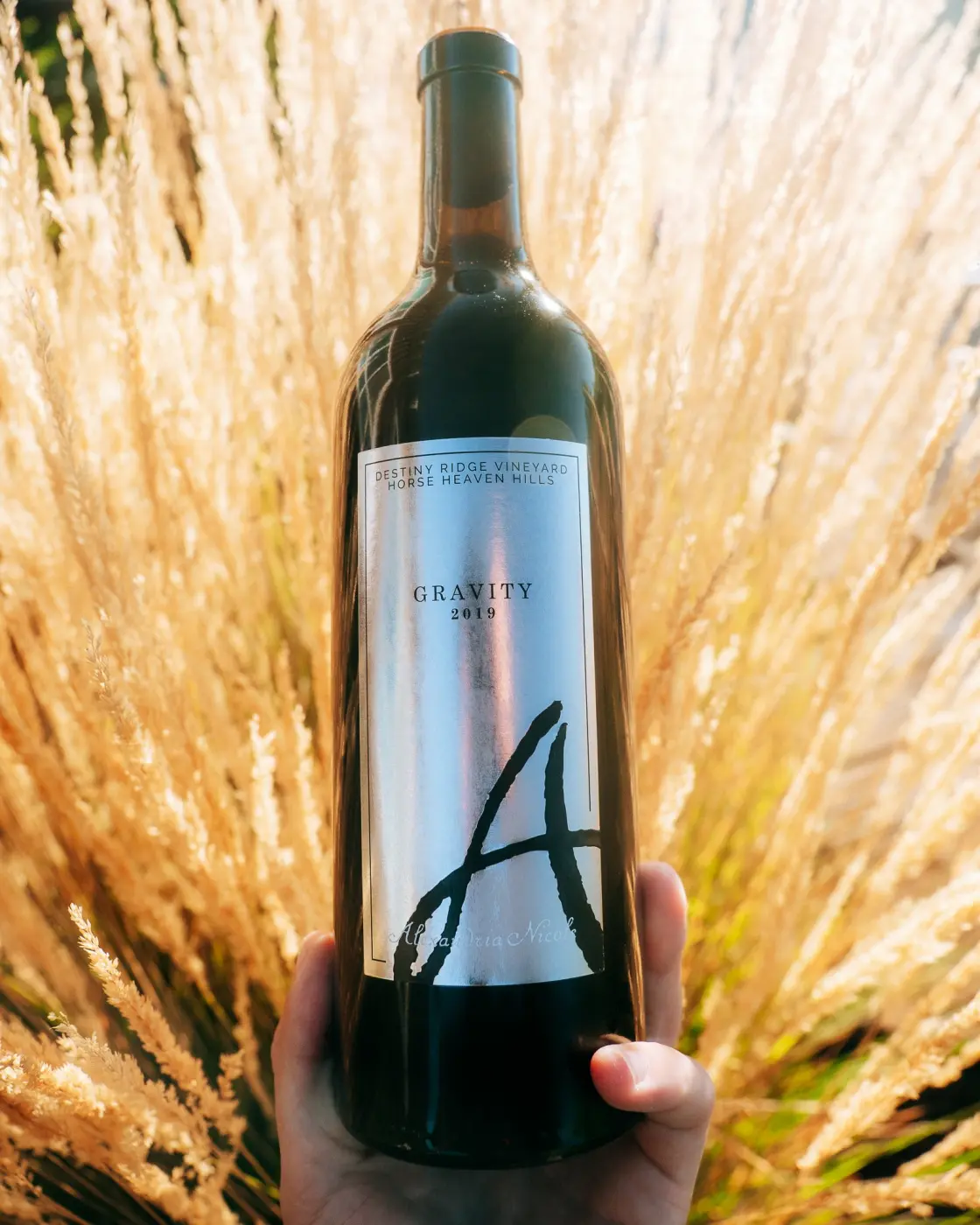 Alexandria Nicole Cellars — Pacific Pine Media