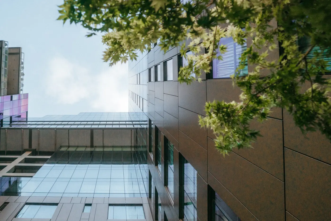 Four Seasons Hotel Seattle — Pacific Pine Media