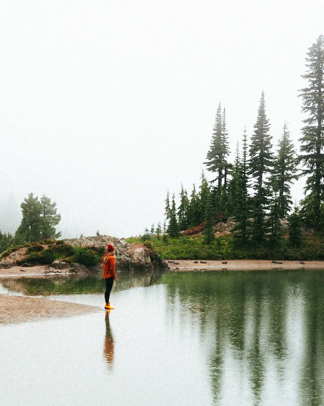 Merry People — Pacific Pine Media