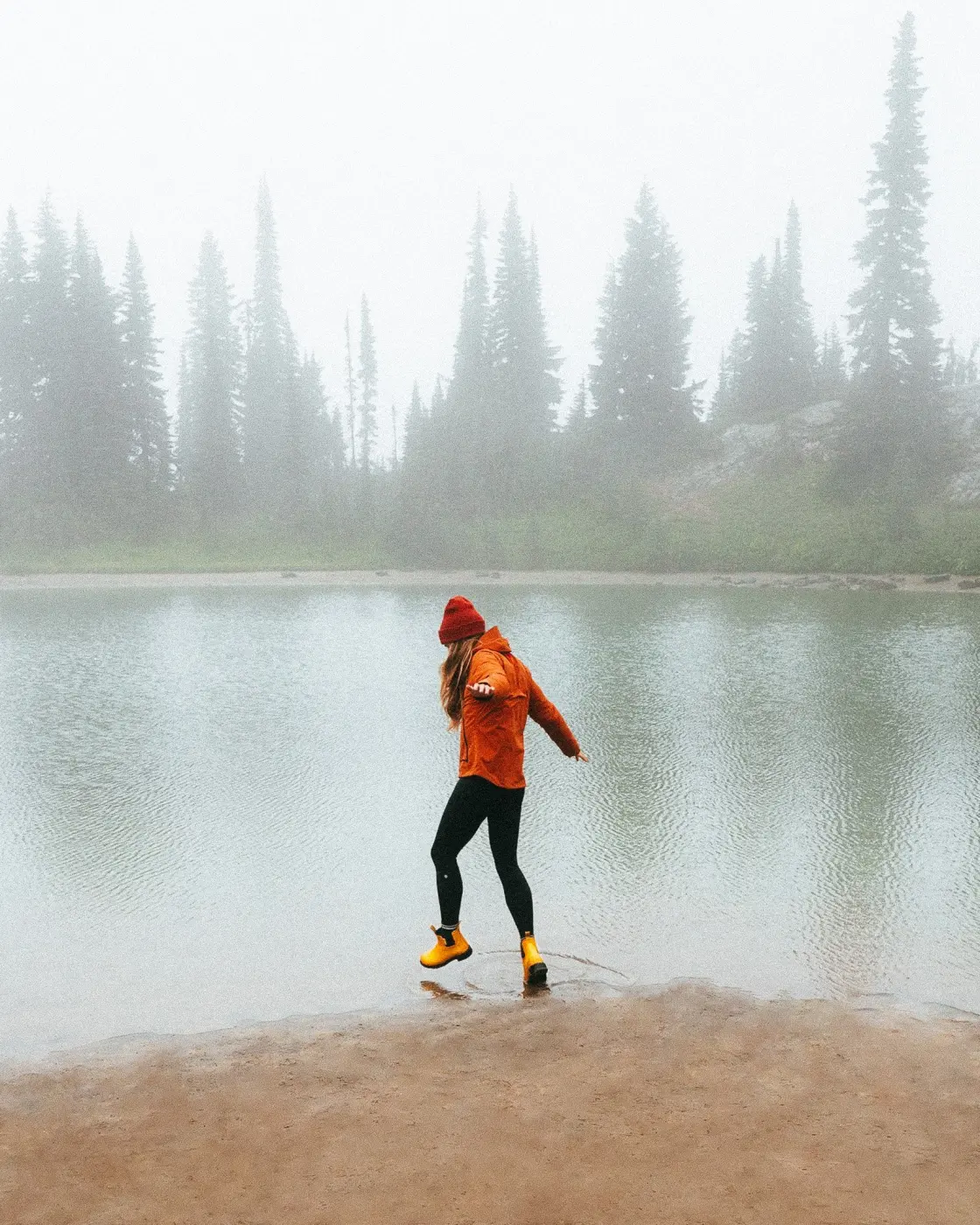 Merry People — Pacific Pine Media