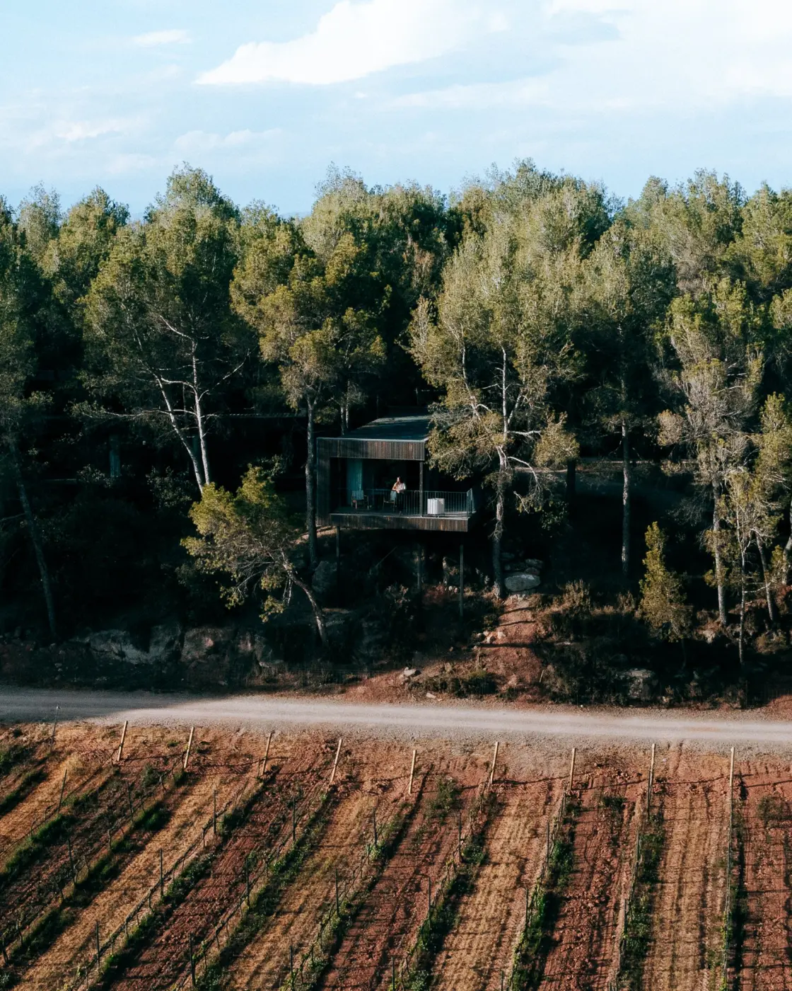 Oller del Mas — Pacific Pine Media