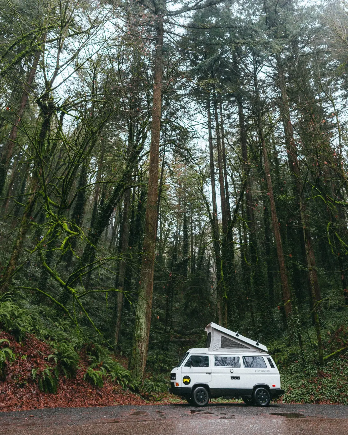 PacWesty Adventures — Pacific Pine Media