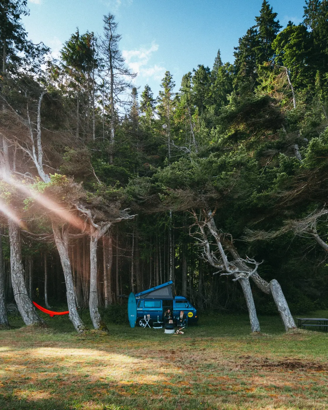 PacWesty Adventures — Pacific Pine Media