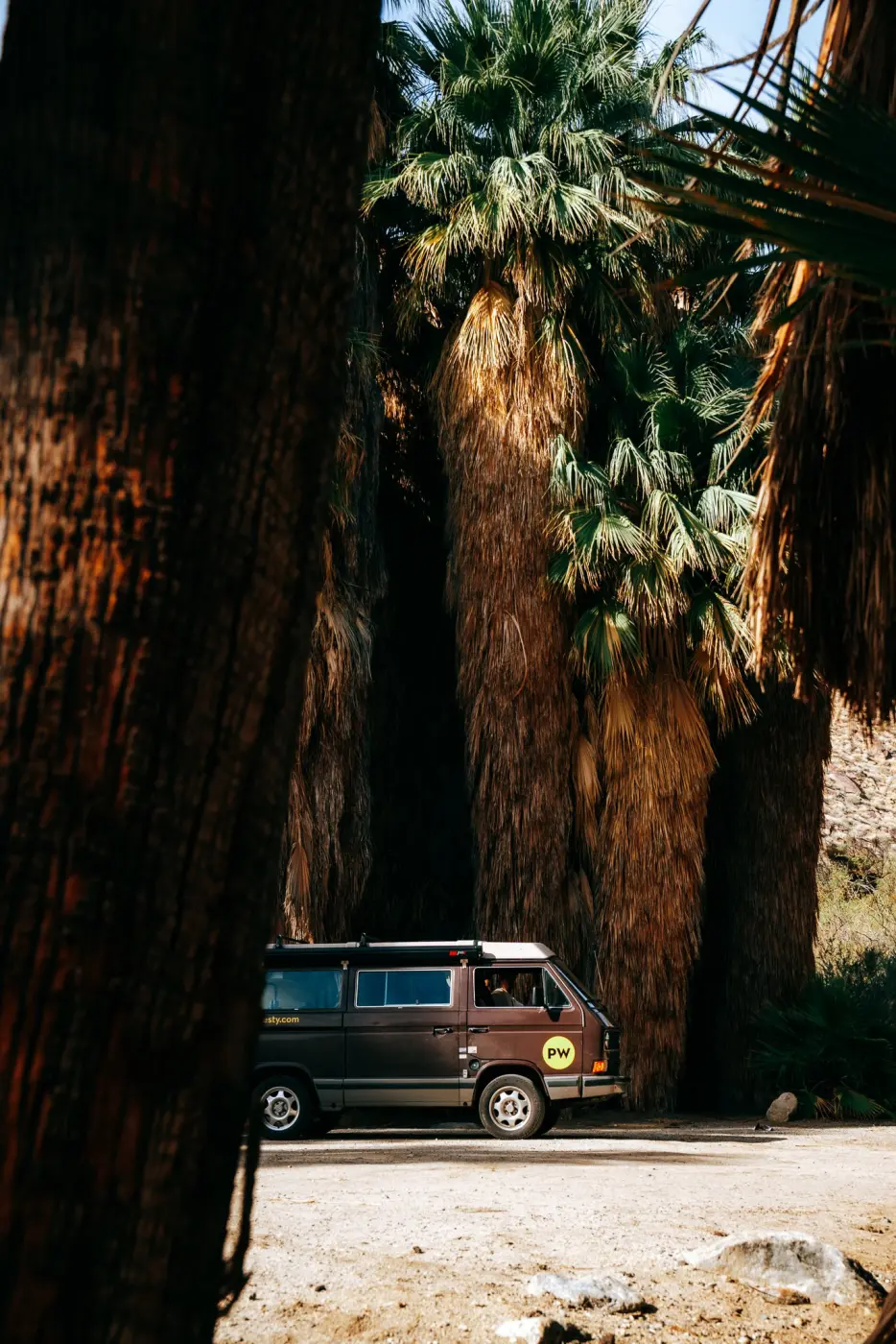 PacWesty Adventures — Pacific Pine Media