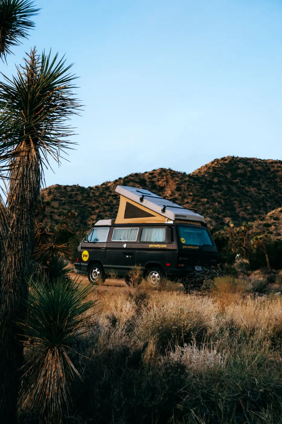 PacWesty Adventures — Pacific Pine Media