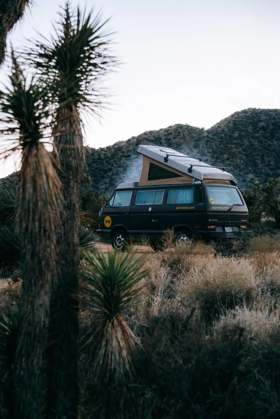 PacWesty Adventures — Pacific Pine Media