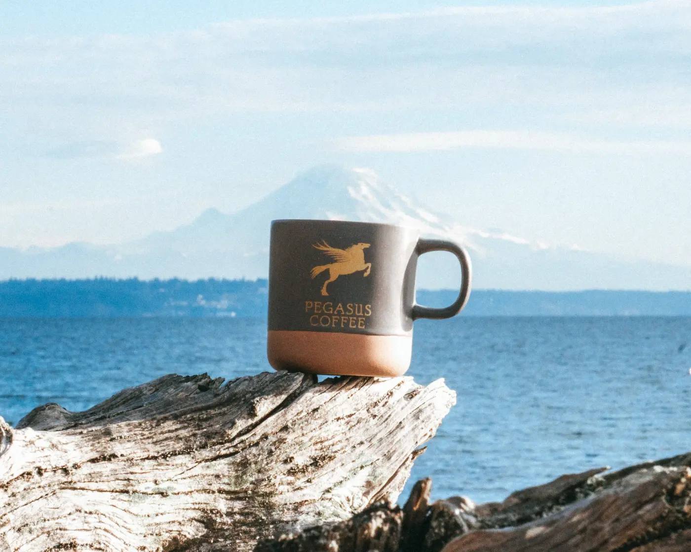 Pegasus Coffee — Pacific Pine Media