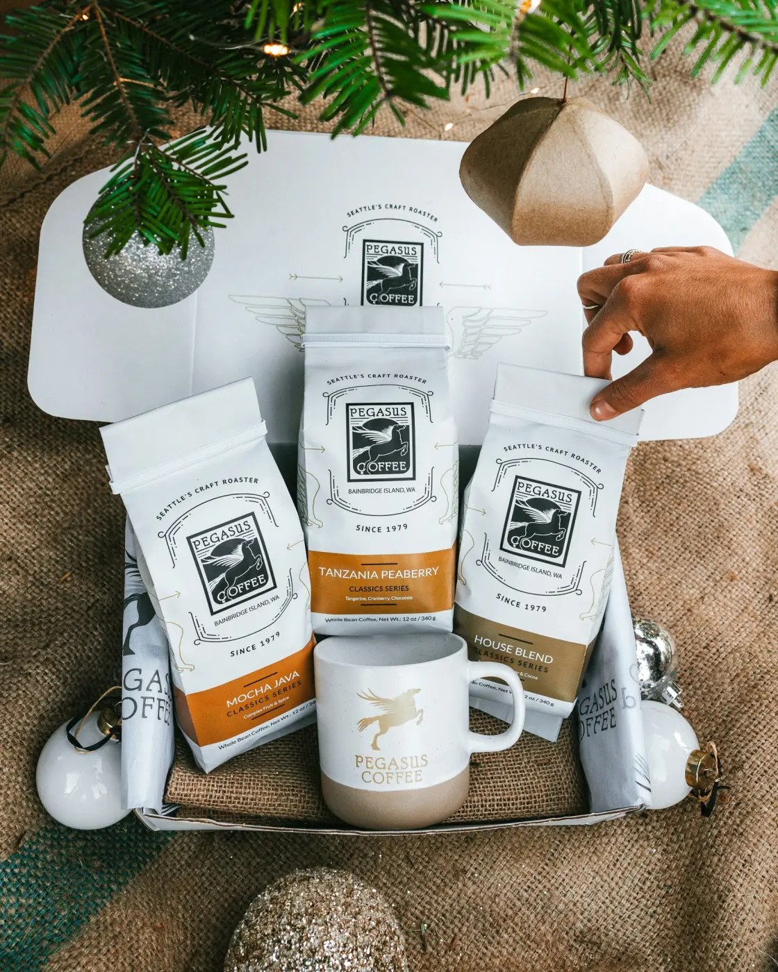 Pegasus Coffee — Pacific Pine Media
