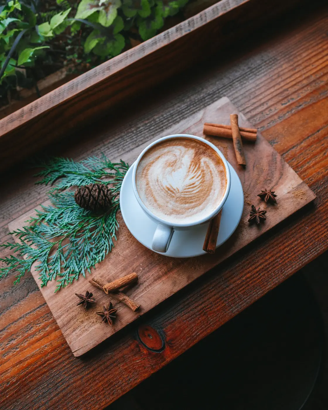 Pegasus Coffee — Pacific Pine Media
