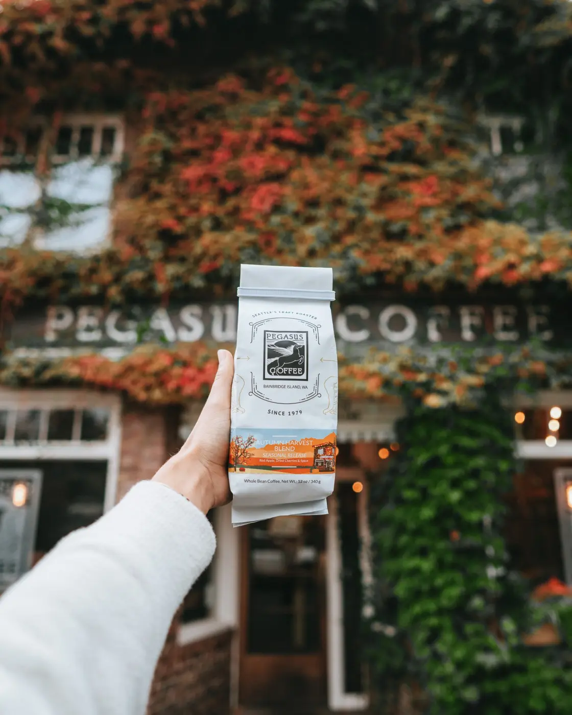 Pegasus Coffee — Pacific Pine Media