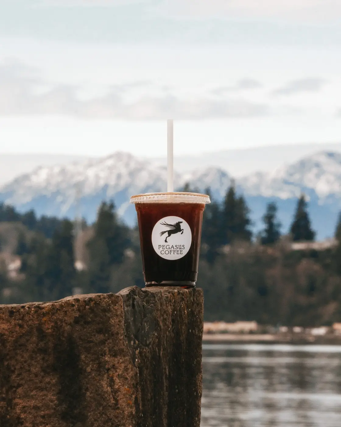 Pegasus Coffee — Pacific Pine Media