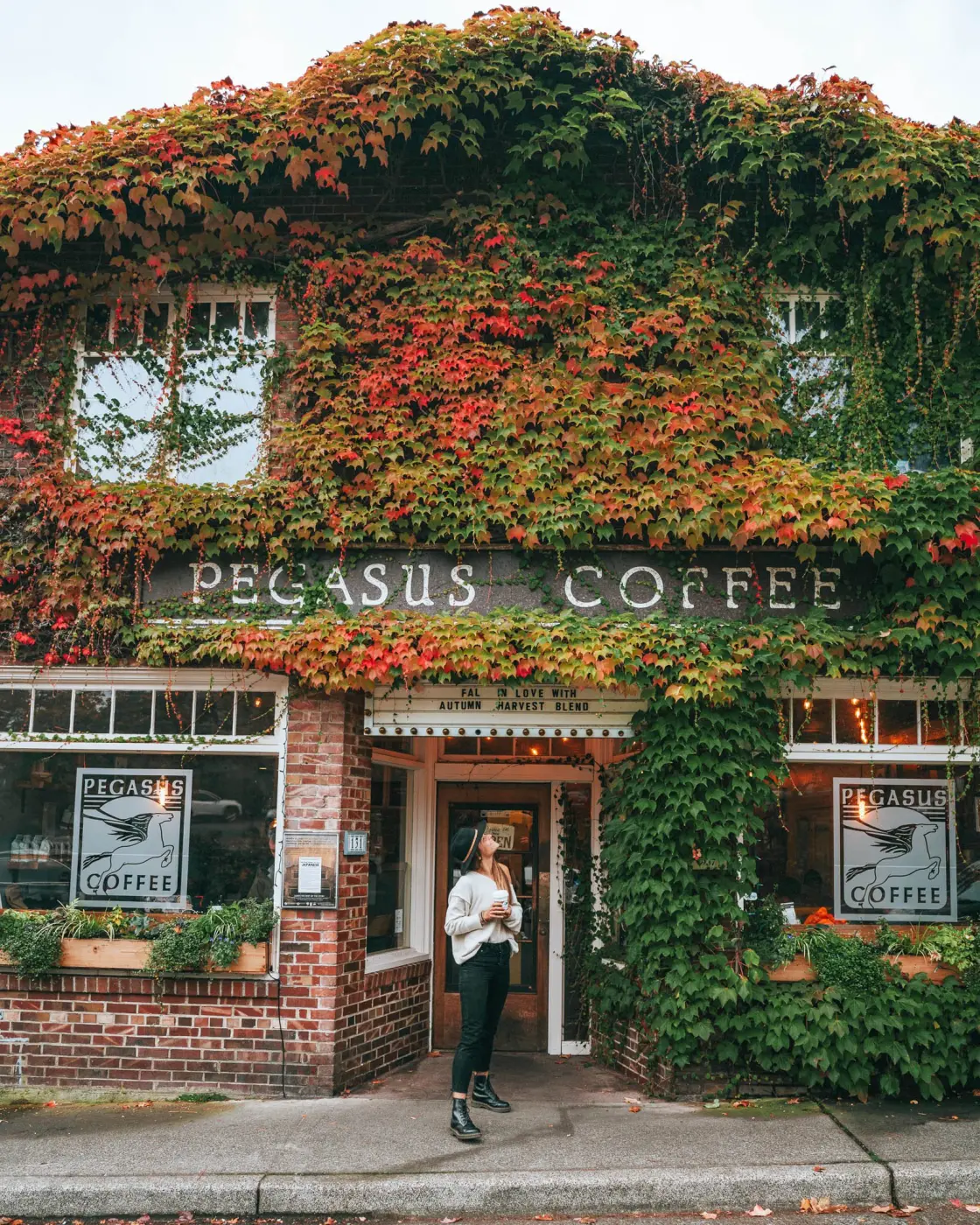 Pegasus Coffee — Pacific Pine Media