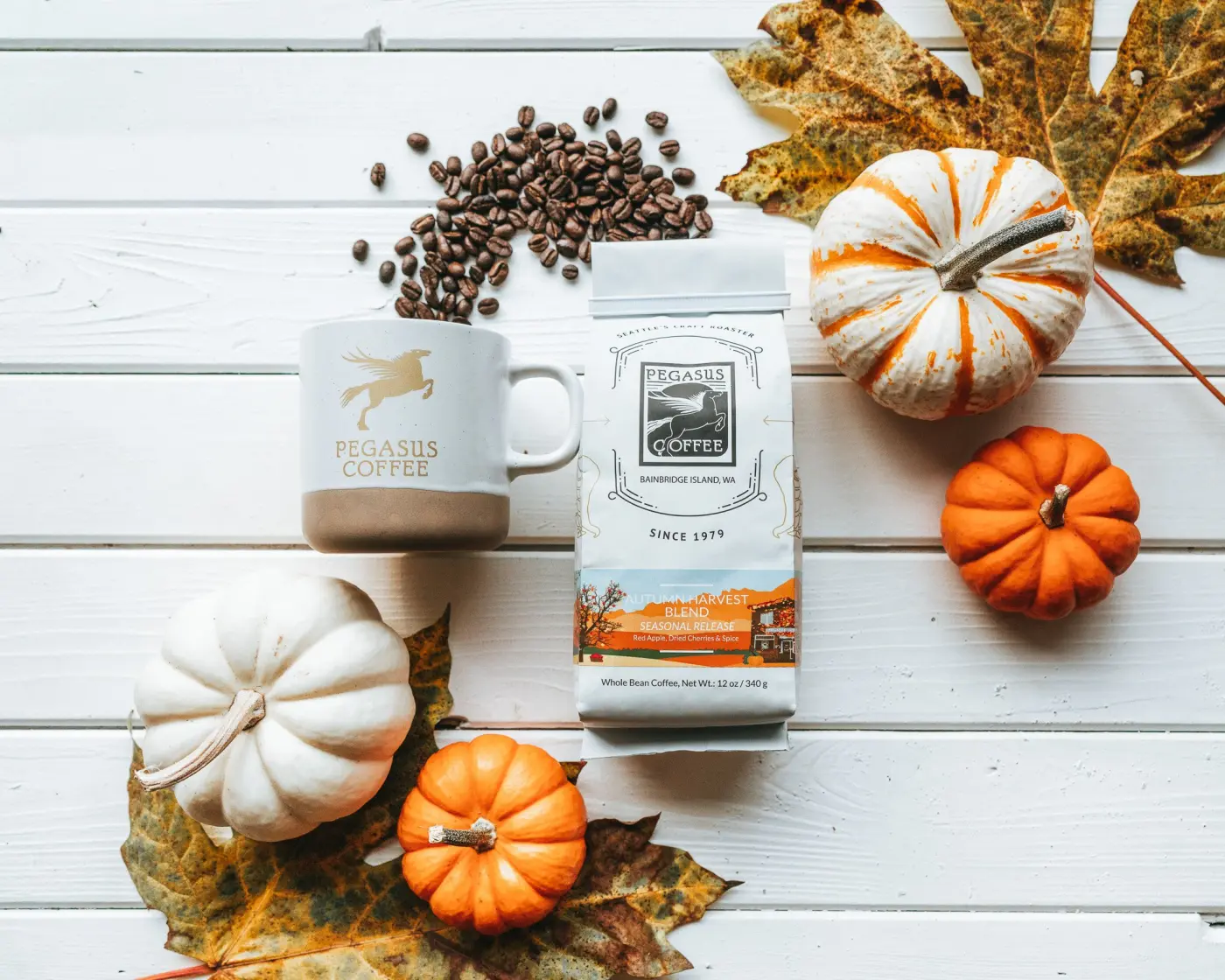 Pegasus Coffee — Pacific Pine Media