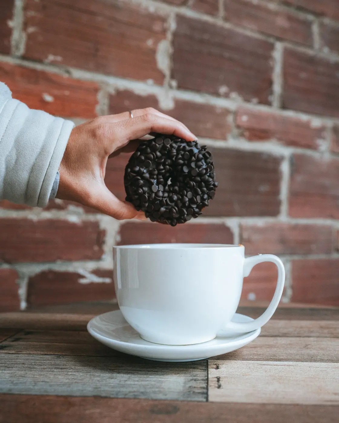 Pegasus Coffee — Pacific Pine Media