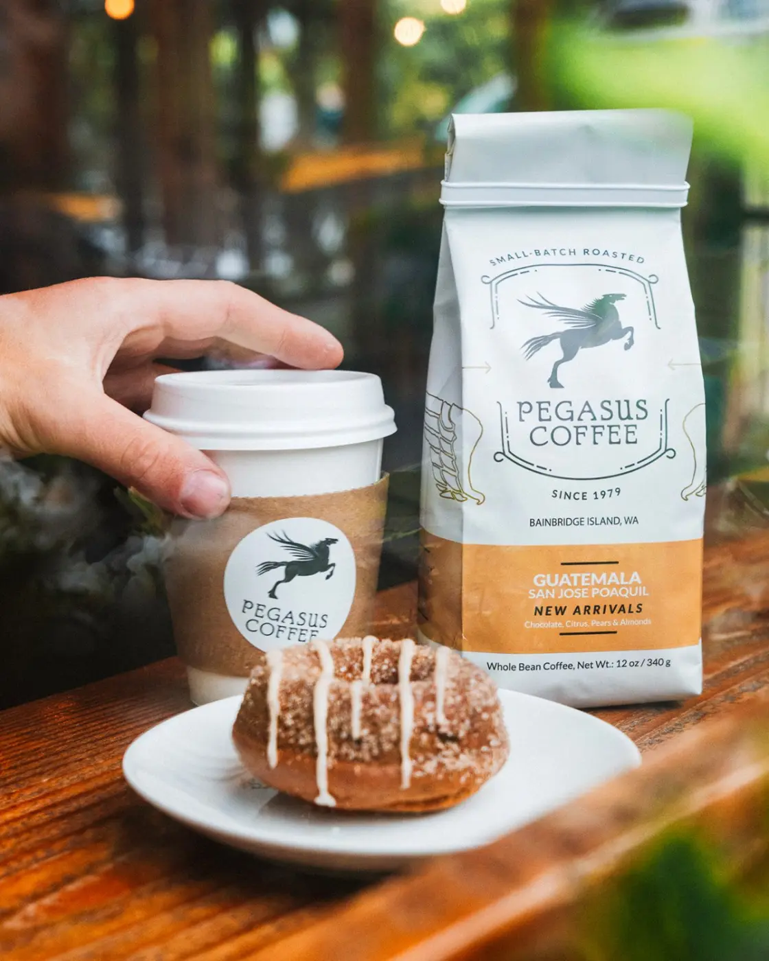 Pegasus Coffee — Pacific Pine Media