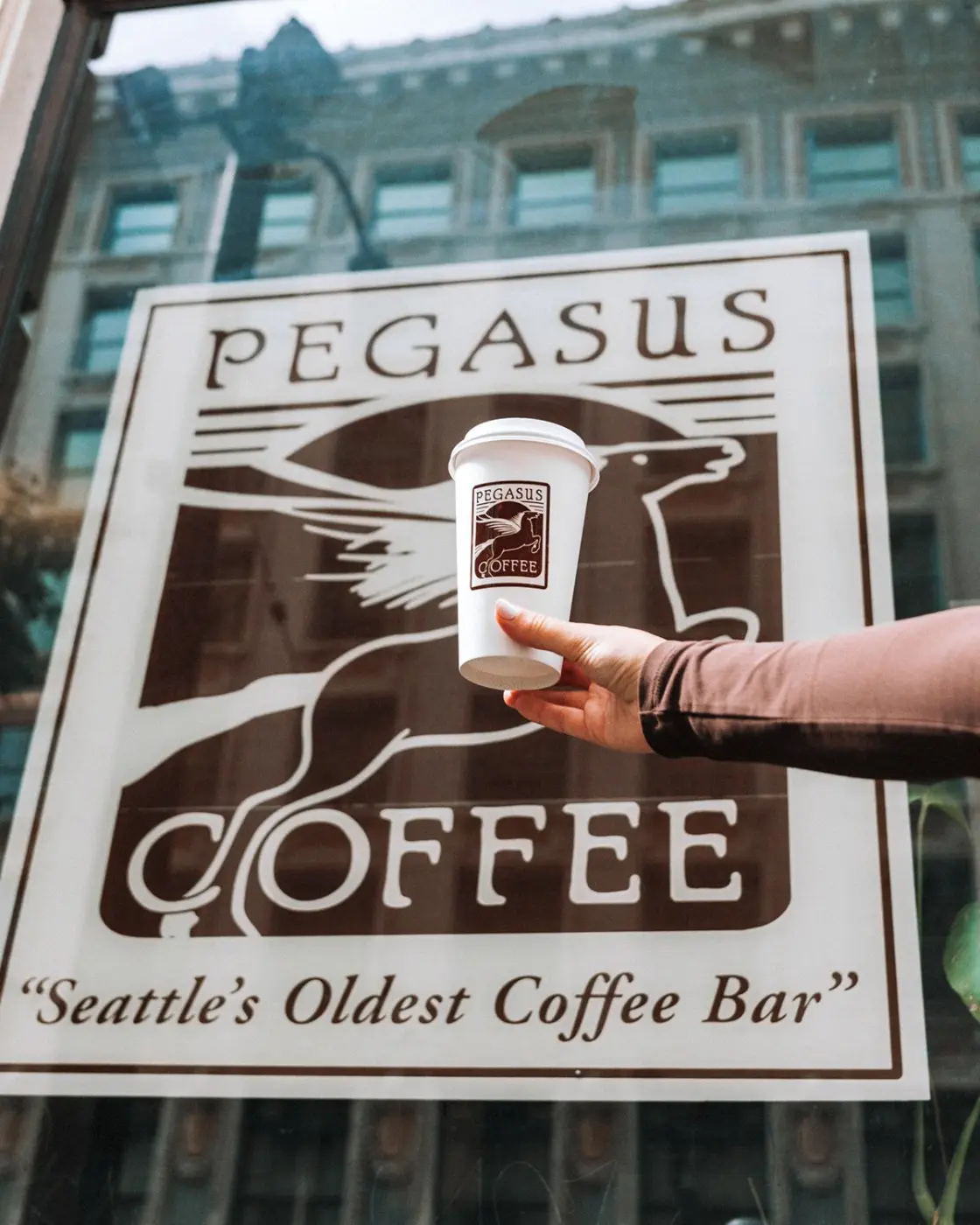 Pegasus Coffee — Pacific Pine Media