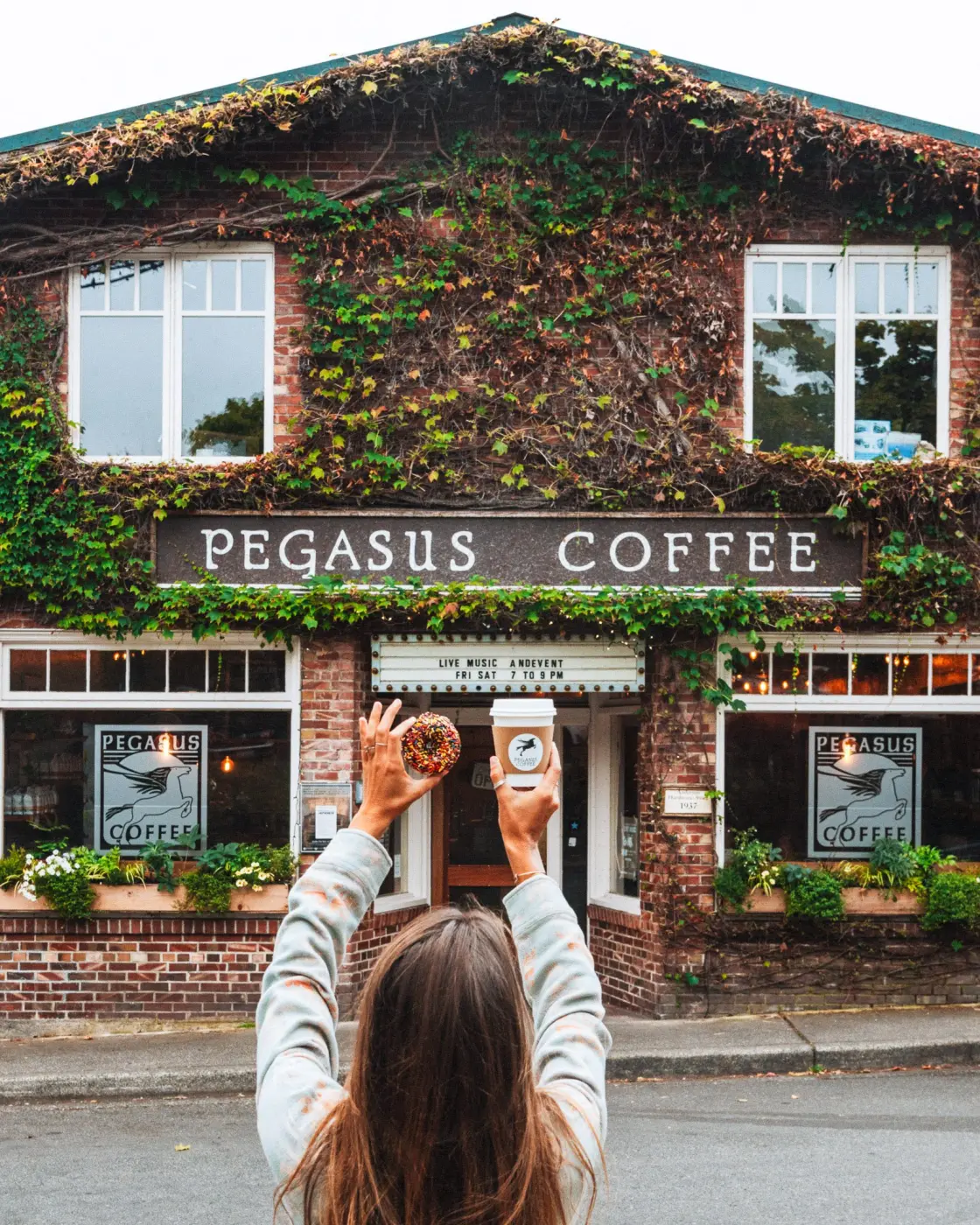 Pegasus Coffee — Pacific Pine Media