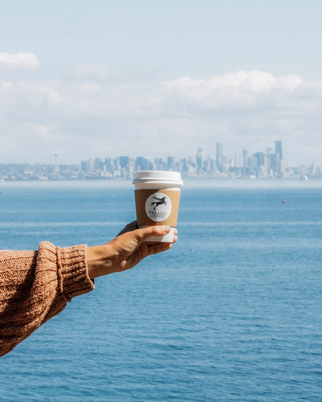 Pegasus Coffee — Pacific Pine Media
