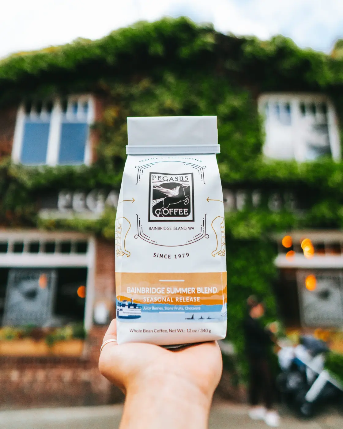 Pegasus Coffee — Pacific Pine Media