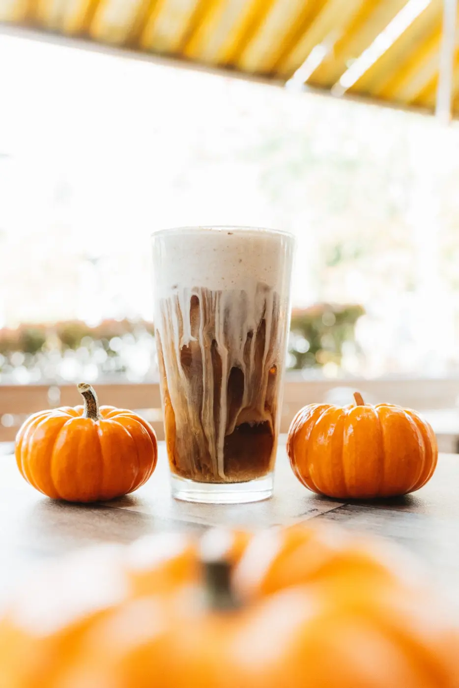 Pegasus Coffee — Pacific Pine Media