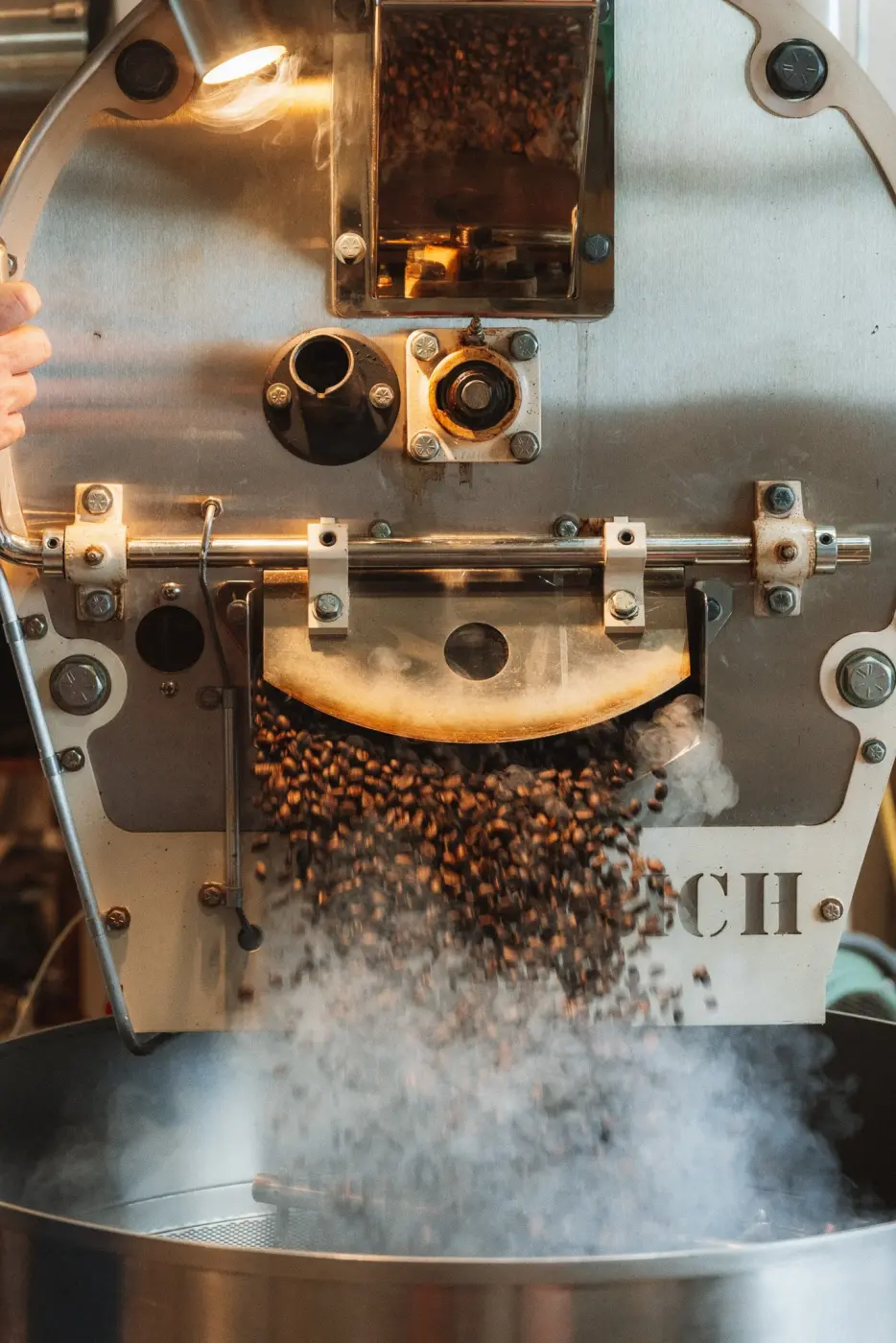 Pegasus Coffee — Pacific Pine Media