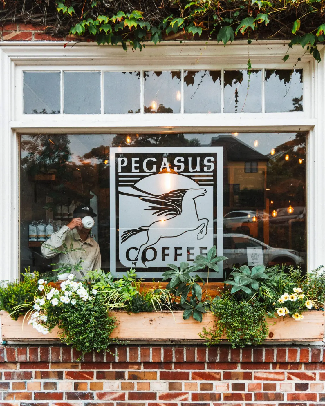 Pegasus Coffee — Pacific Pine Media