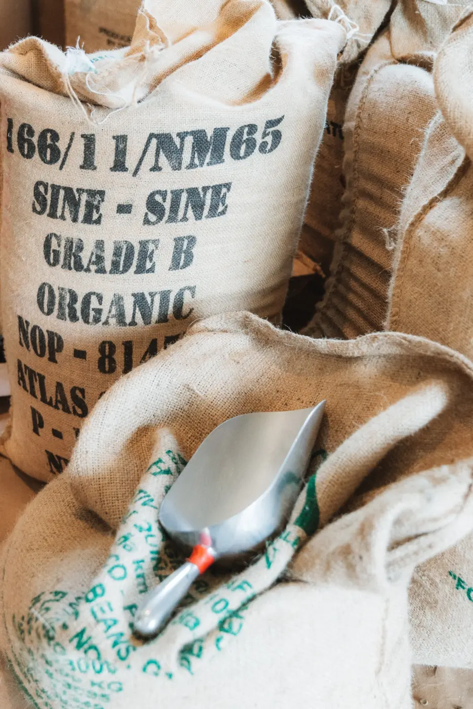 Pegasus Coffee — Pacific Pine Media