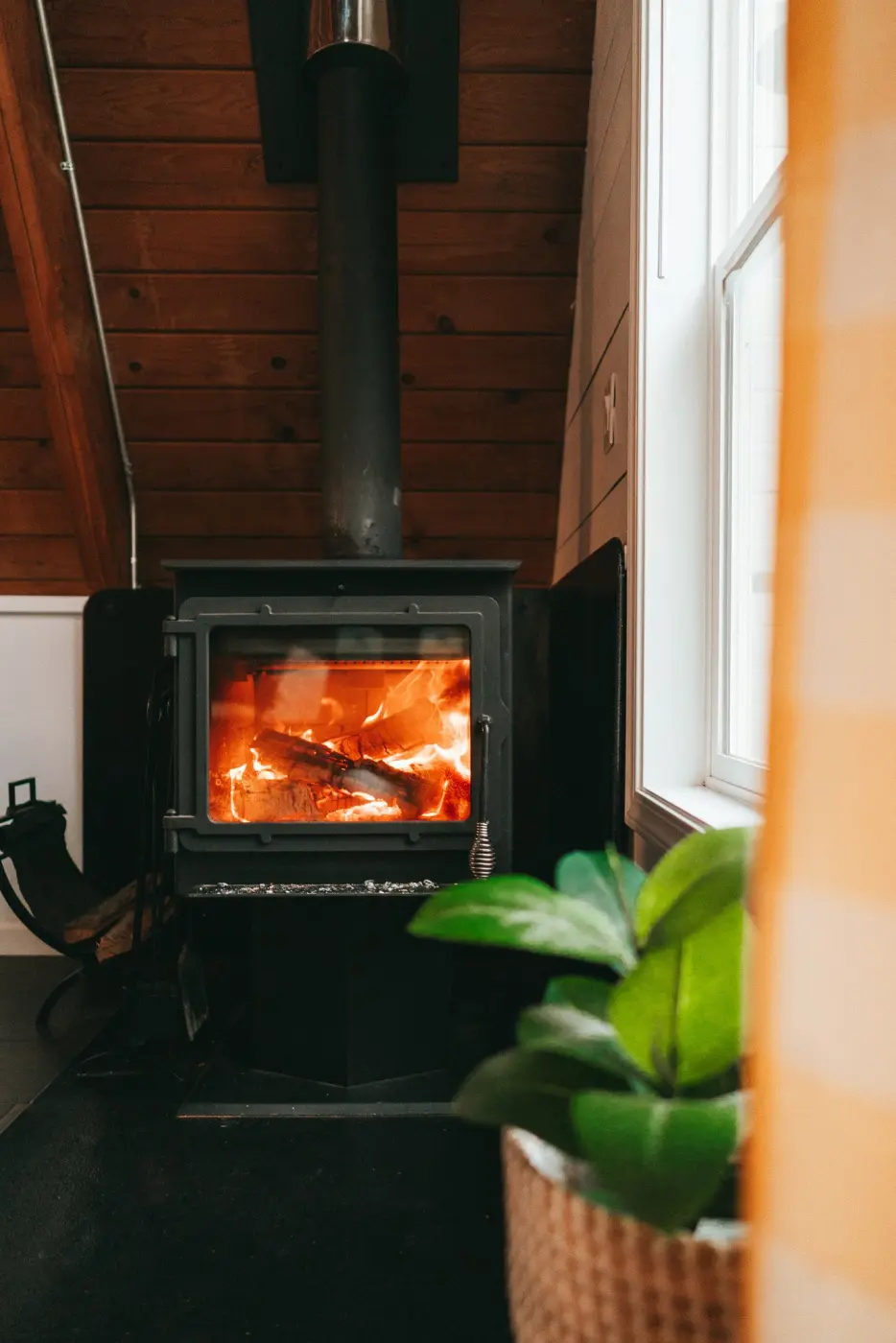 Stay PNW — Pacific Pine Media