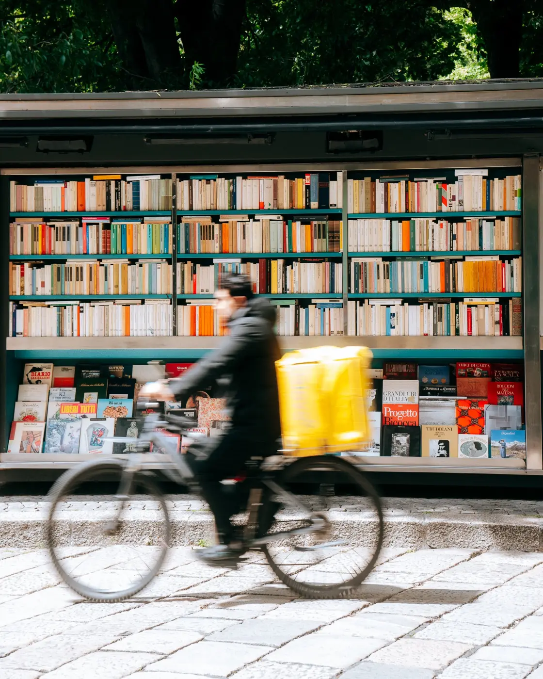 Vibrant Travelers — Pacific Pine Media