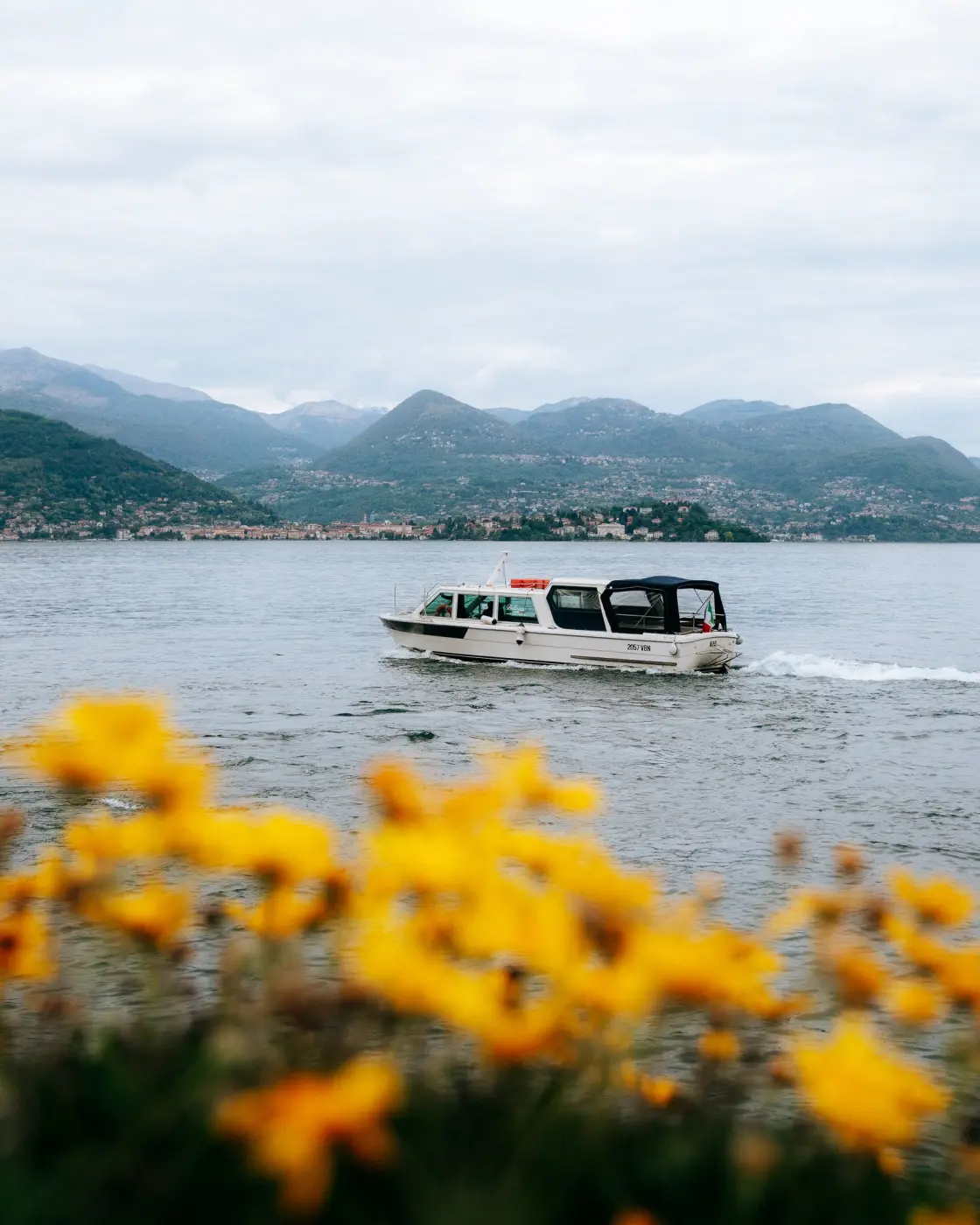 Vibrant Travelers — Pacific Pine Media