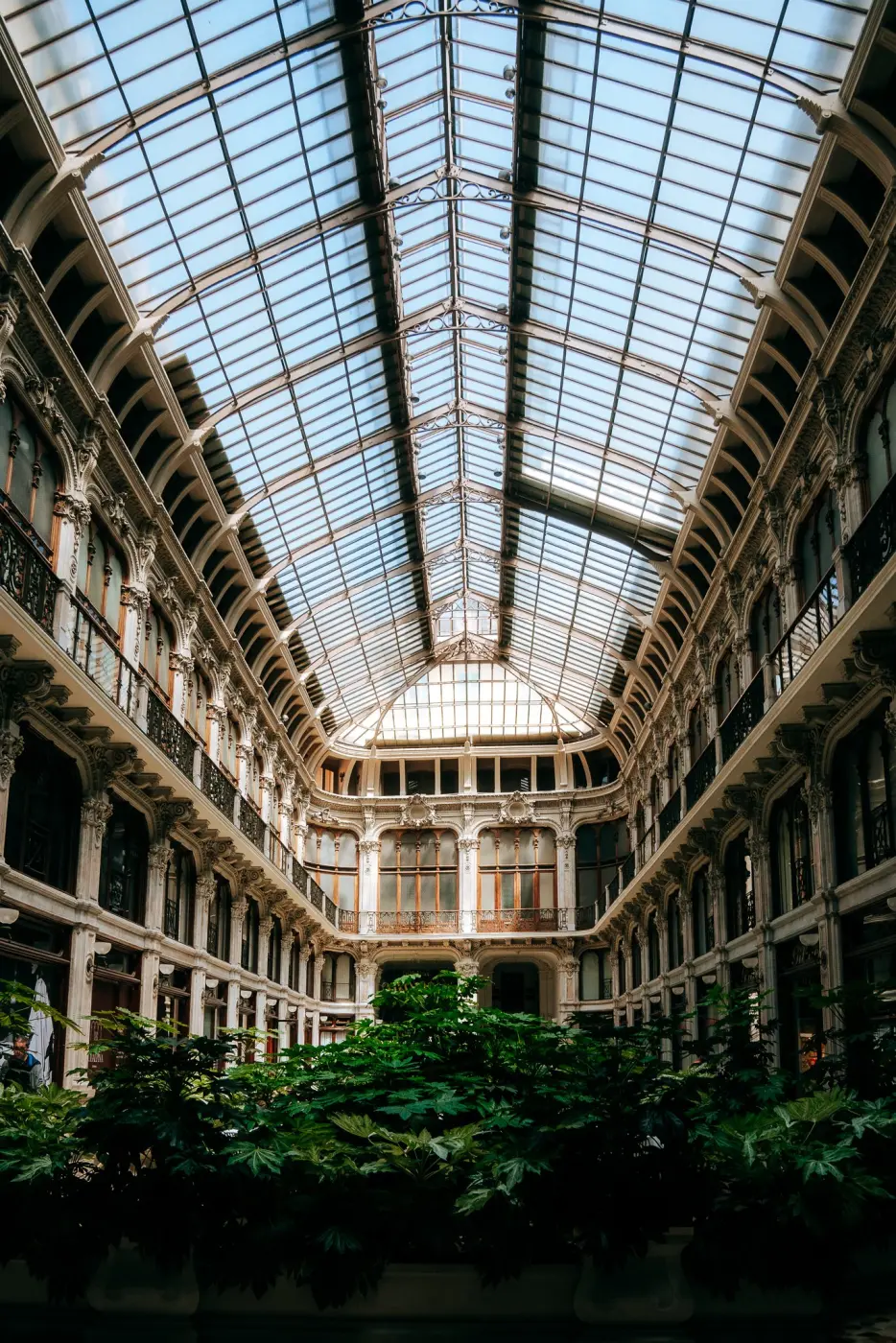 Vibrant Travelers — Pacific Pine Media