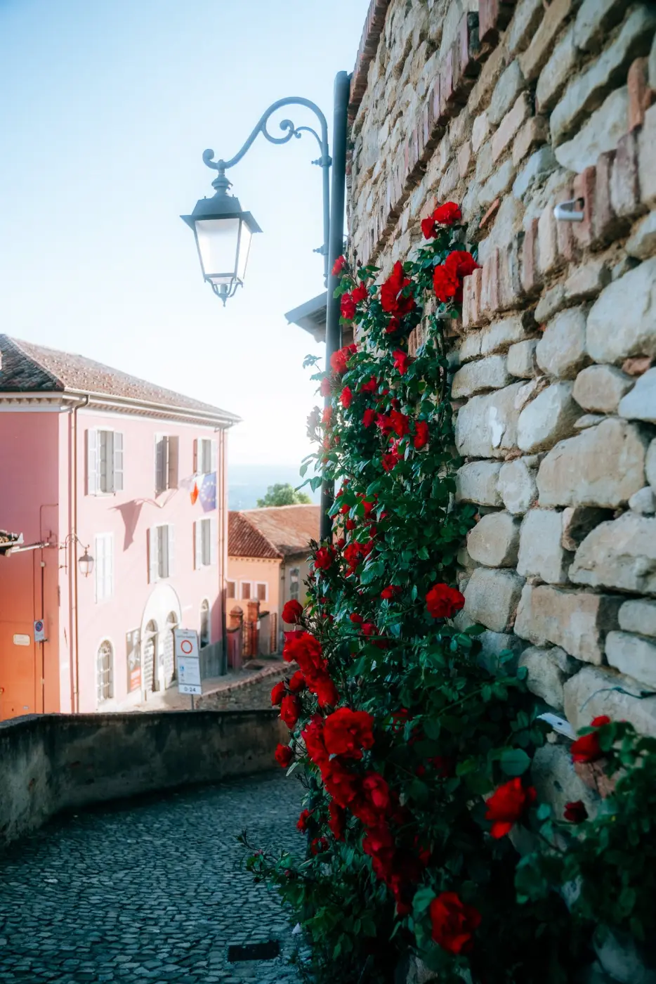 Vibrant Travelers — Pacific Pine Media