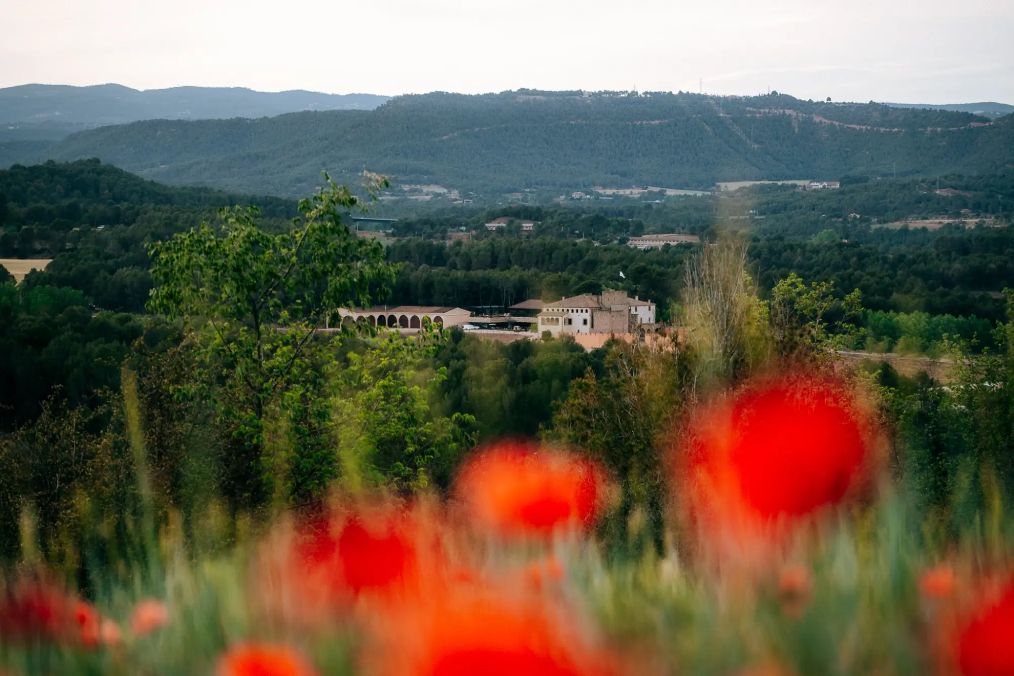 Oller del Mas heritage winery in Montserrat, Spain
